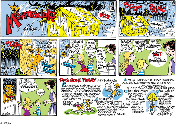 marmaduke